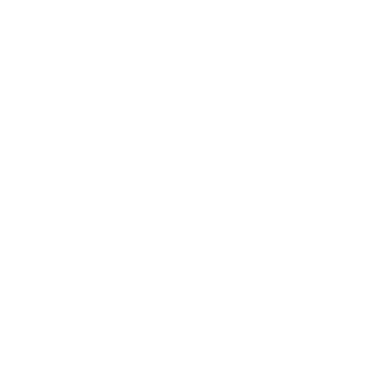 Forensic & Litigation