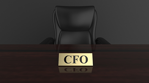 What Can a CFO Do for Your Small Business?
